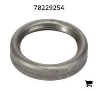 AGCO 70229254 Шайба