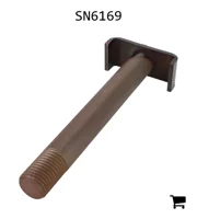 AGCO SN6169 Болт