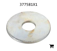 AGCO 377581X1 Плоская шайба