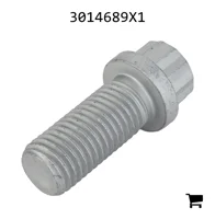 AGCO 3014689X1 Винт с 12-гранной головкой с фланцем