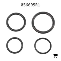 AGCO 056695R1 Комплект уплотнений