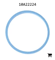 AGCO 10A22224 Кольцо