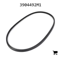 AGCO 3904492M1 Прокладка