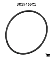AGCO 3019465X1 Уплотнительное кольцо