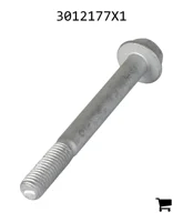 AGCO 3012177X1 Болт с шестигранной головкой и фланцем