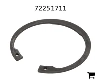 AGCO 72251711 Стопорное кольцо