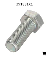 AGCO 391881X1 Болт с шестигранной головкой