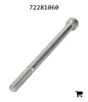 AGCO 72281060 Винт