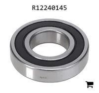 AGCO R12240145 Подшипник
