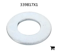 AGCO 339817X1 Плоская шайба