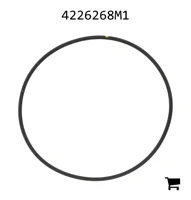 AGCO 4226268M1 Уплотнительное кольцо