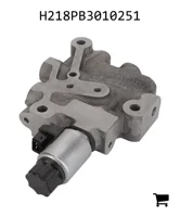 AGCO H218PB3010251 Торцевая пластина