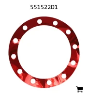 AGCO 551522D1 Шайба