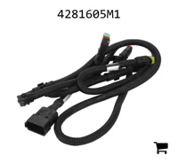 AGCO 4281605M1 Жгут