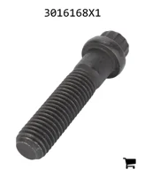 AGCO 3016168X1 Винт с 12-гранной фланцевой головкой