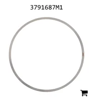 AGCO 3791687M1 Регулировочная шайба