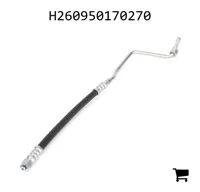 AGCO H260950170270 Трубопровод высокого давления