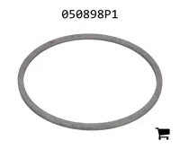 AGCO 050898P1 Шайба