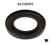 AGCO 843506M1 Уплотнение