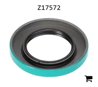 AGCO Z17572 Уплотнение