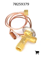 AGCO 70259379 Клапан