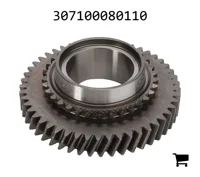 AGCO 307100080110 Цилиндрическая шестерня