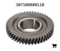 AGCO 307100080110 Цилиндрическая шестерня