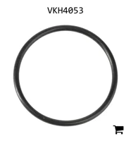 AGCO VKH4053 Уплотнительное кольцо