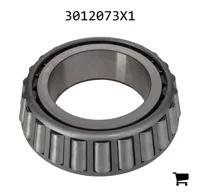 AGCO 3012073X1 Конус подшипника