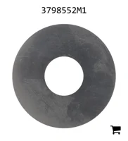 AGCO 3798552M1 Шайба