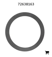 AGCO 72638163 Шайба