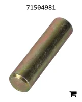 AGCO 71504981 Палец