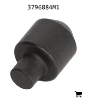 AGCO 3796884M1 Плунжер