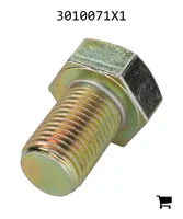 AGCO 3010071X1 Болт с шестигранной головкой