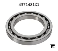 AGCO 4371481X1 Шариковый подшипник