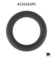 AGCO 4226262M1 Уплотнительное кольцо топливного фильтра