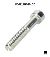 AGCO V581804672 Винт с шестигранной головкой
