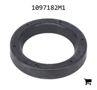 AGCO 1097182M1 Уплотнение