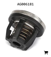 AGCO AG006181 Клапан