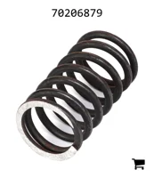 AGCO 70206879 Пружина