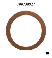 AGCO 700738927 Шайба