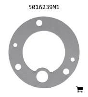 AGCO 5016239M1 Прокладка