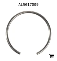 AGCO AL5017009 Стопорное кольцо
