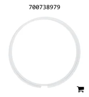 AGCO 700738979 Опорное кольцо