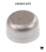 AGCO 1868431M3 Заглушка