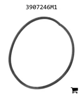 AGCO 3907246M1 Прокладка