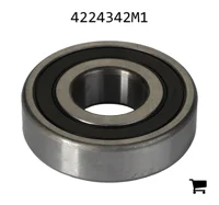 AGCO 4224342M1 Шариковый подшипник