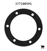AGCO 3771005M1 Кольцо