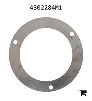 AGCO 4302284M1 Шайба