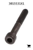 AGCO 3015531X1 Винт с цилиндрической головкой и шестигранным углублением